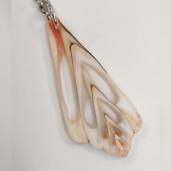 Seashell Keyring Slice Conch Seashell Clearwater Beach, Florida - Picture 9 of 15